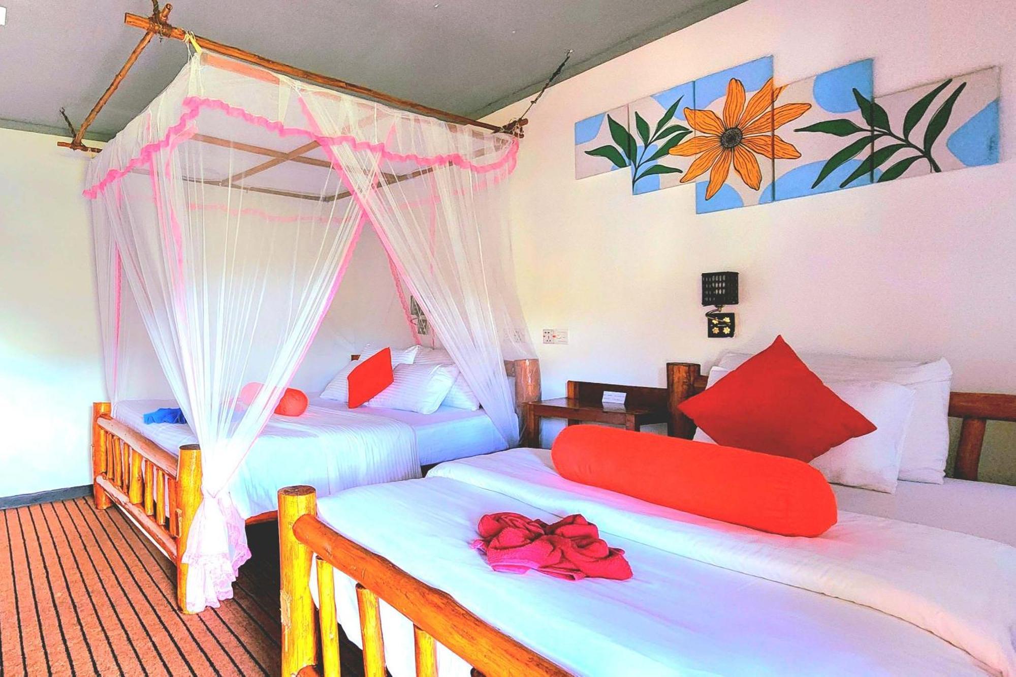 Rainbow Sky Cottage Ела Екстериор снимка